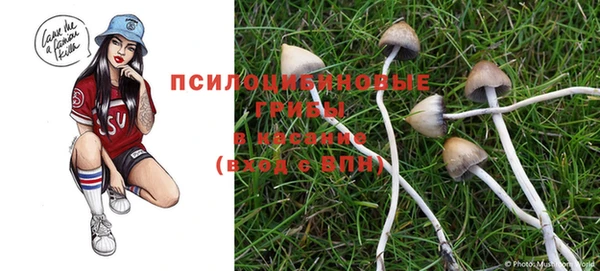 мет Вяземский
