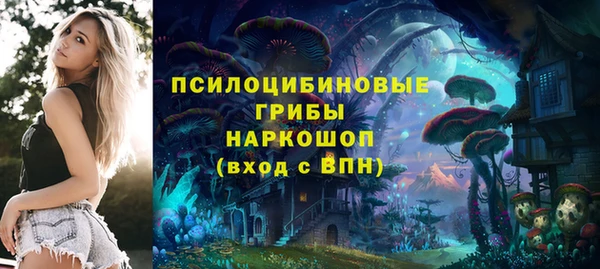 шишки Алапаевск